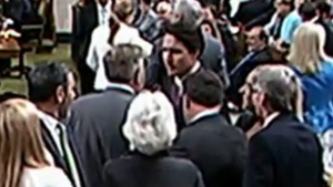 Trudeau saying get the fuck out of the way